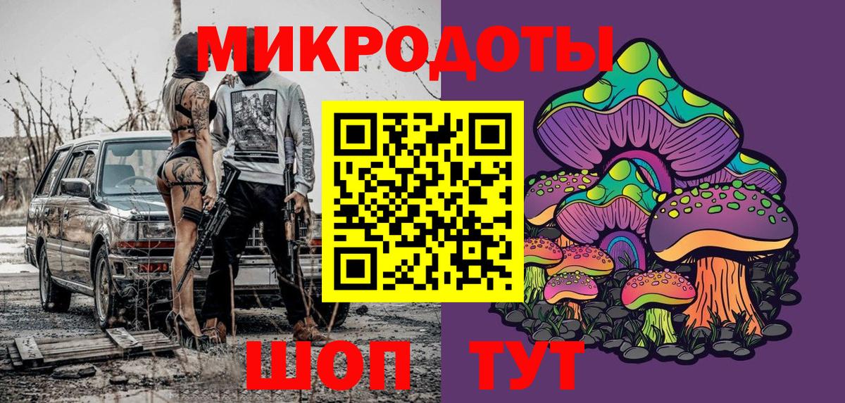 Карасук  Галлюциногенные грибы Psilocybe  Вход с VPN 